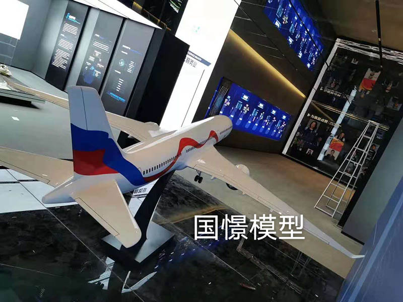 密云区飞机模型